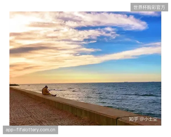 大量旅居北美的摩洛哥侨民有望将比赛场地变为球队的“准主场”，提供强大精神支持。